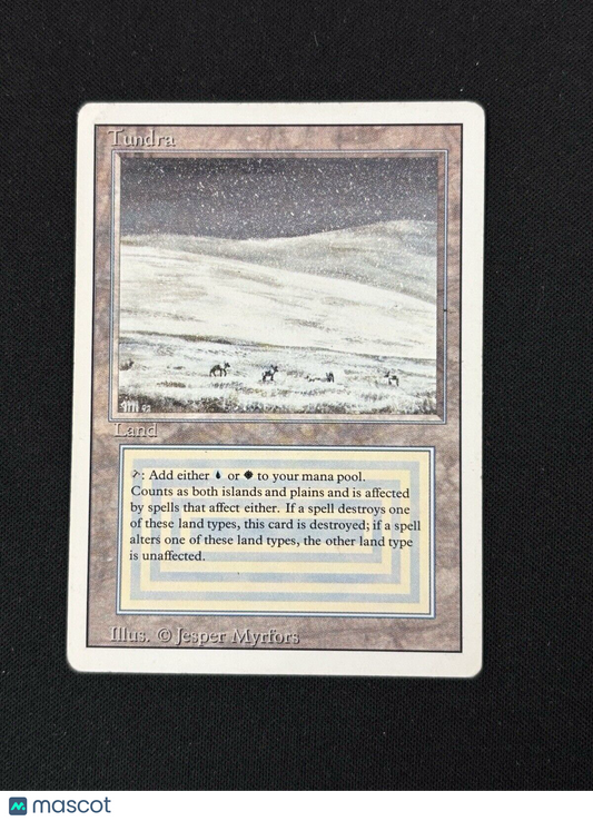 Magic The Gathering MTG Revised Edition Tundra MP